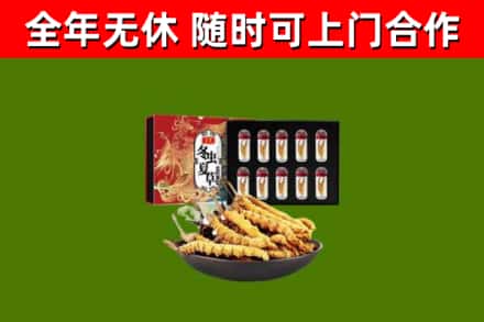 芙蓉区烟酒回收冬虫夏草礼盒.jpg